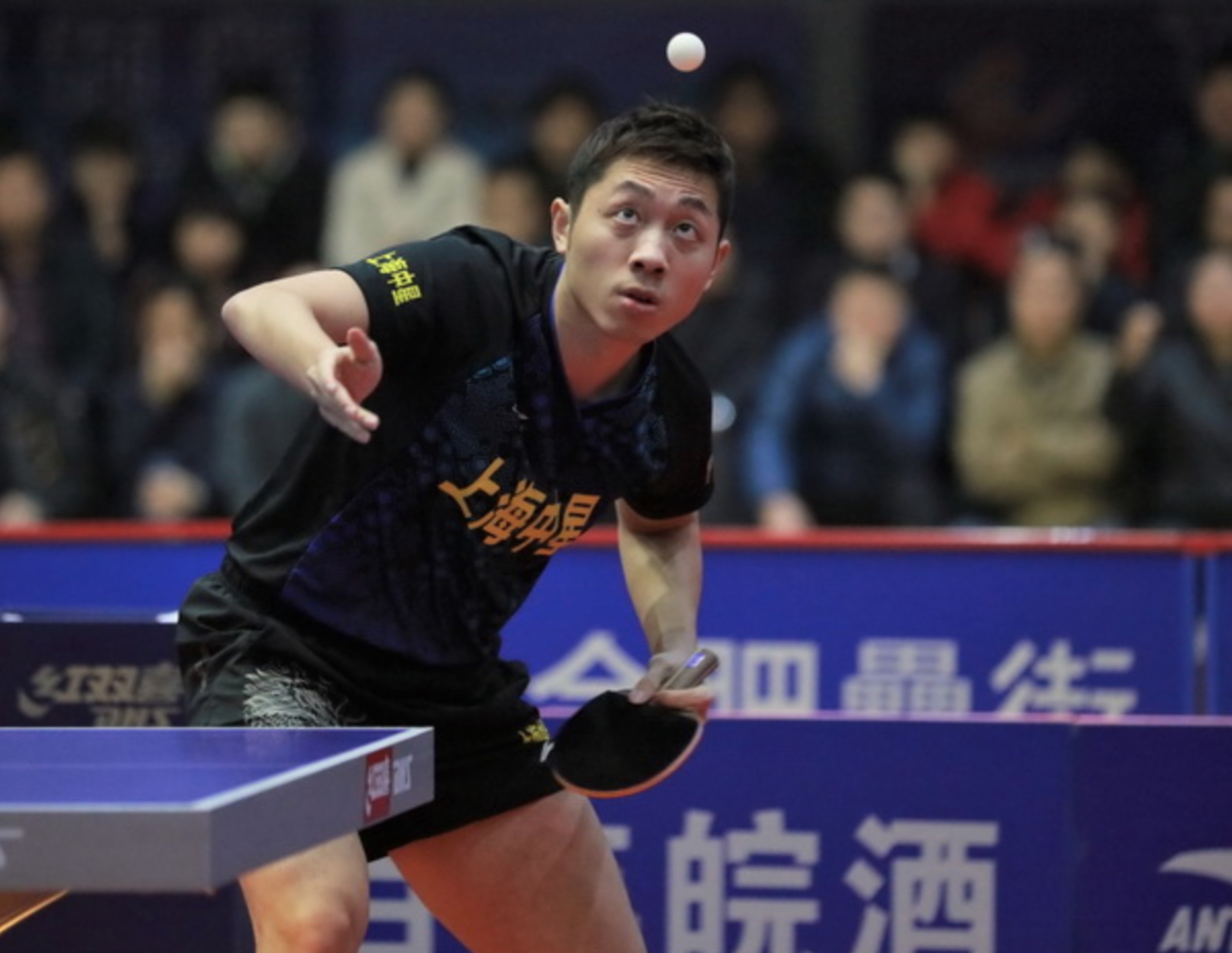 日本乒乓球队轻取瑞典乒乓球队,许昕高光表现的简单介绍 日本乒乓球队轻取瑞典乒乓球队,许昕高光表现的简单介绍