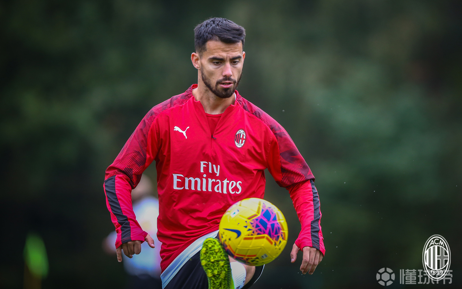 大阪黄蜂取得胜利,积极备战半决赛的简单介绍 大阪黄蜂取得胜利,积极备战半决赛的简单介绍