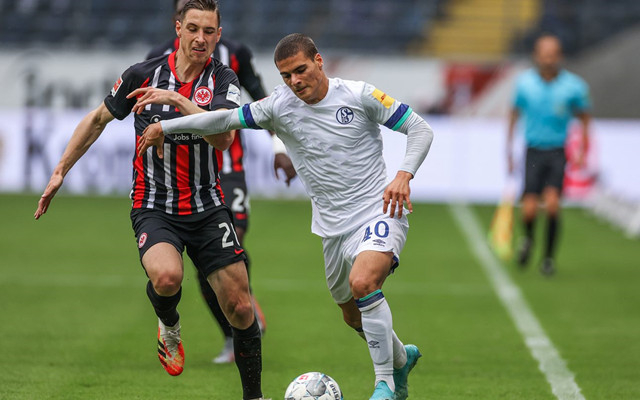 沙尔克主场失利,德甲保级形势严峻的简单介绍 沙尔克主场失利,德甲保级形势严峻的简单介绍