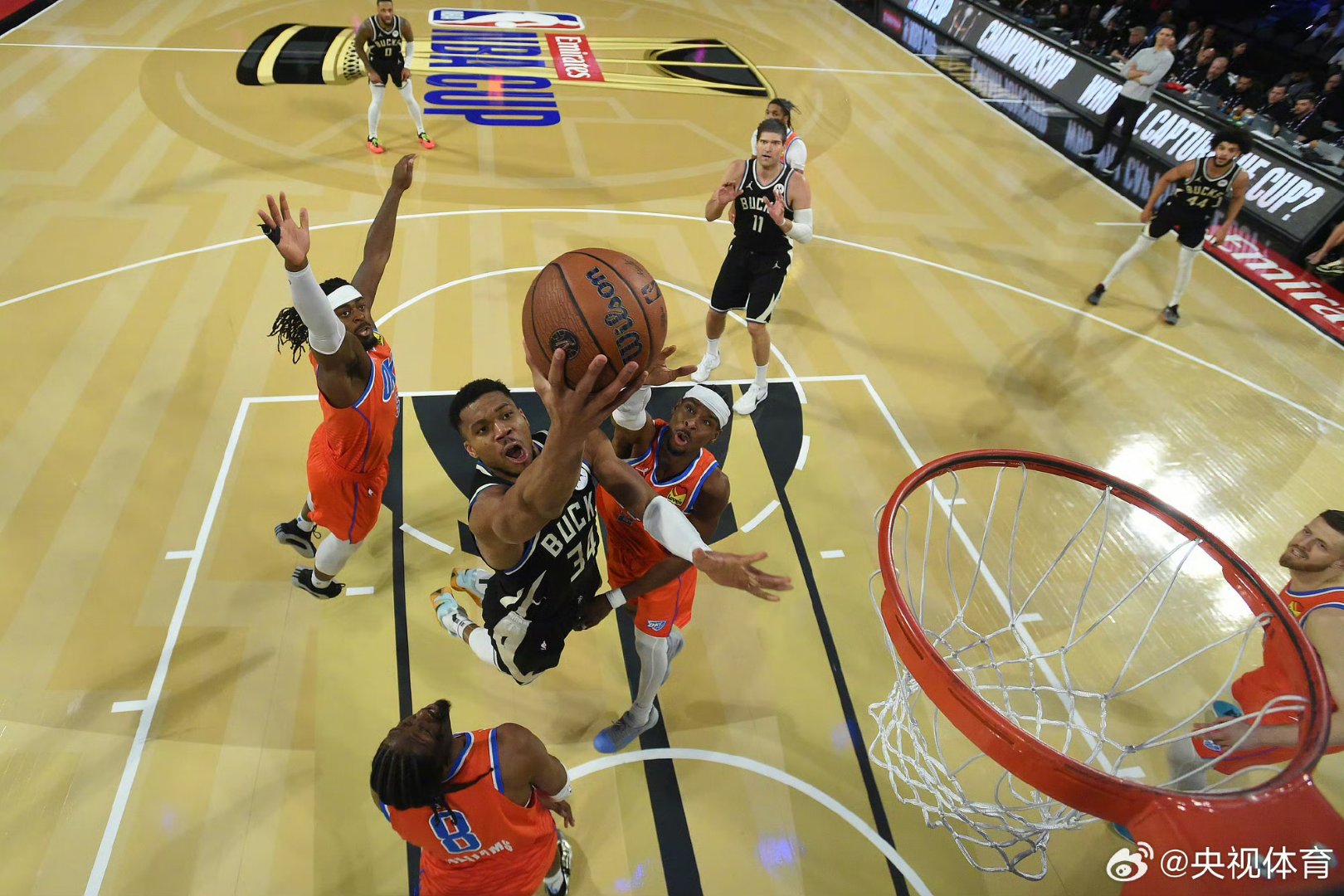 奇才横扫塞尔维亚男篮，加里纳利制霸全场