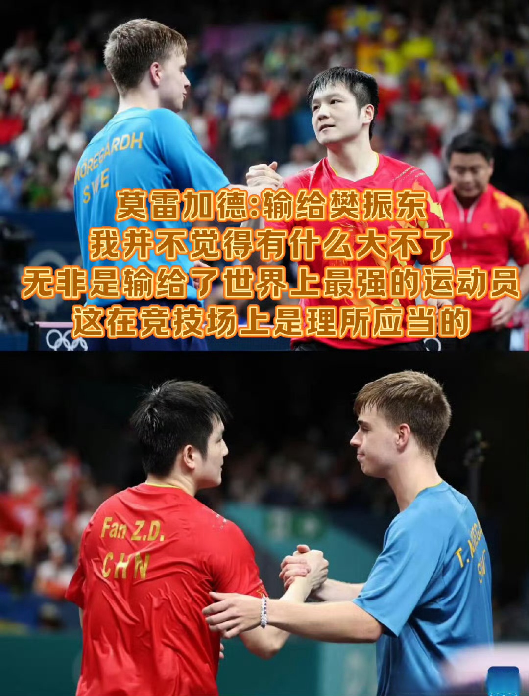 开云官网-中国队翻盘日本队，樊振东带队取胜