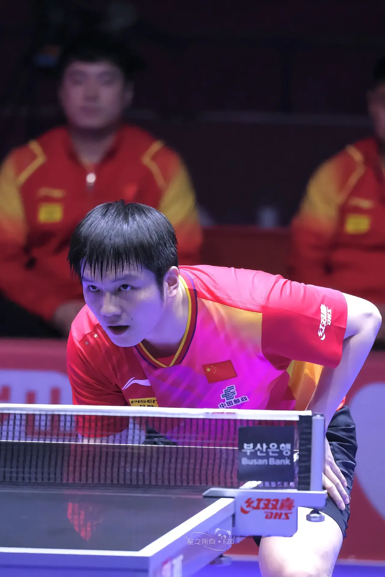 开云体育官网-中国队力克法国队，张继科状态火热的简单介绍