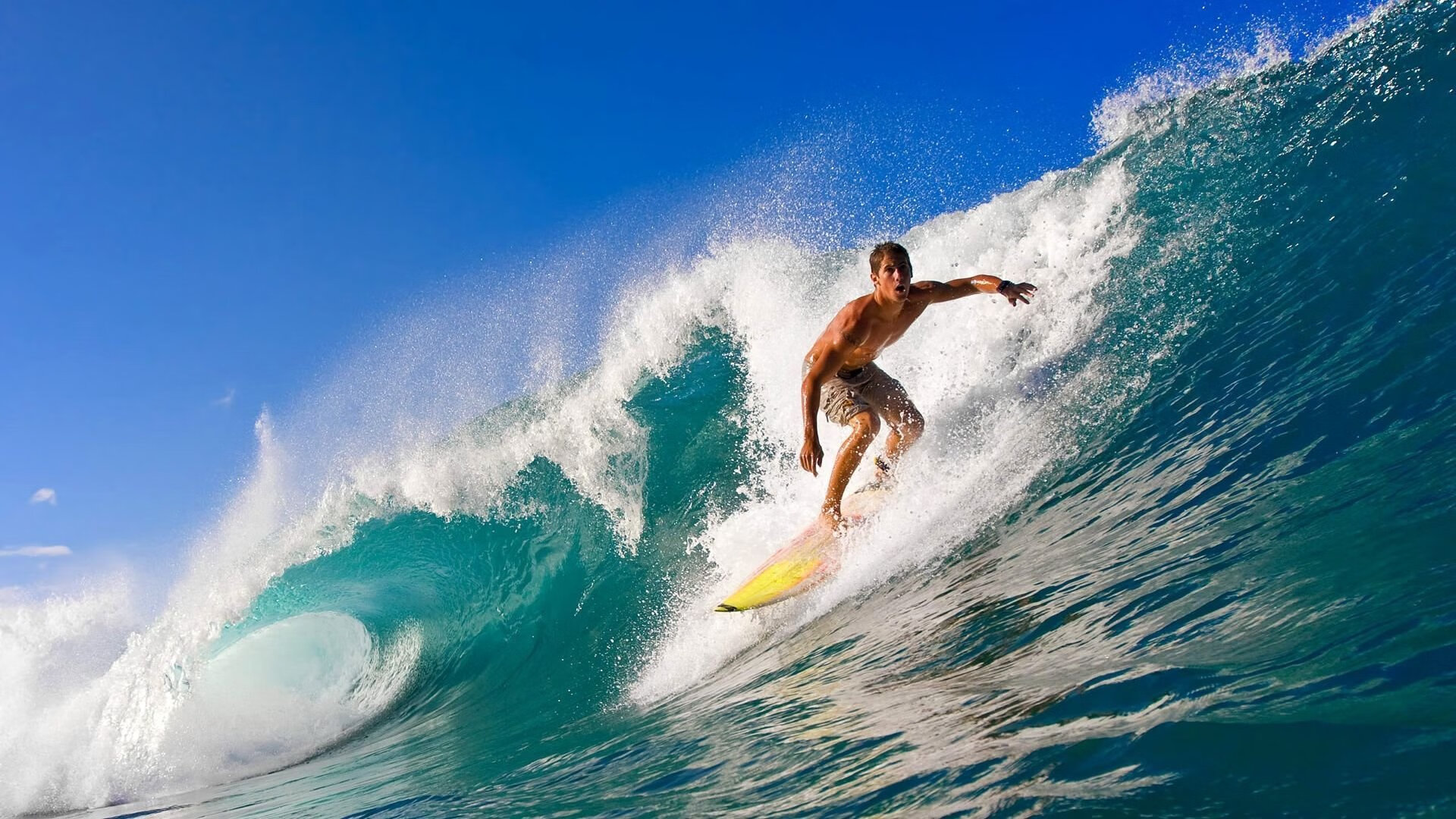 开云足球直播-赛道上的红色风暴，塞恩斯统治全场，红牛二队完胜雷诺